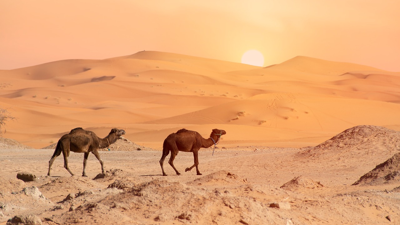 Die marokkanische Legende besagt, dass die Sanddünen des Erg Chebbi von Gott als Strafe geschickt wurden - Erg Chebbi | Secret World Trip Planner