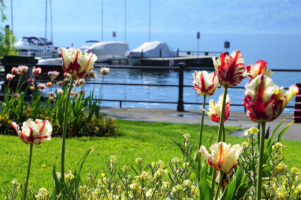 Locarno, der Schweizer Teil des Lago Maggiore | Secret World Trip Planner