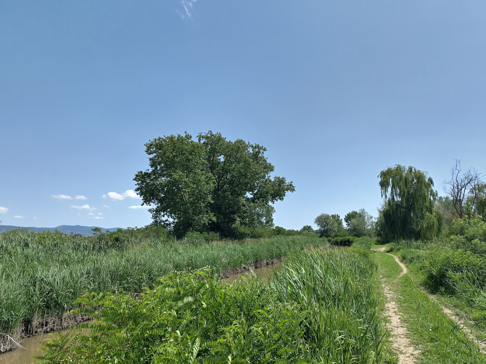 Die Fucecchio-Sümpfe - Fucecchio | Secret World Trip Planner
