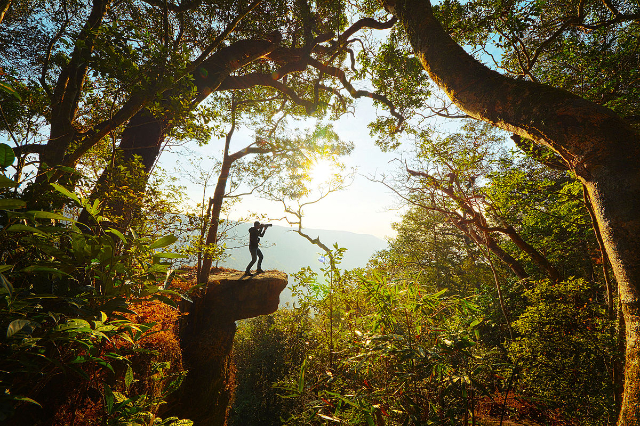 Khao Yai National Park - Provincia di Nakhon Ratchasima | Secret World Trip Planner
