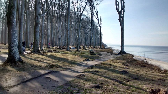 Geisterwald Nienhagen - Nienhagen | Secret World Trip Planner