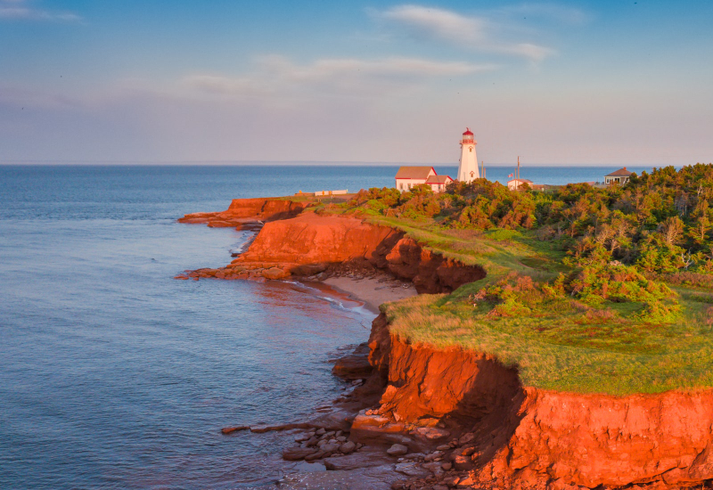 Die beste Vogelbeobachtung in Prince Edward Island — East Point