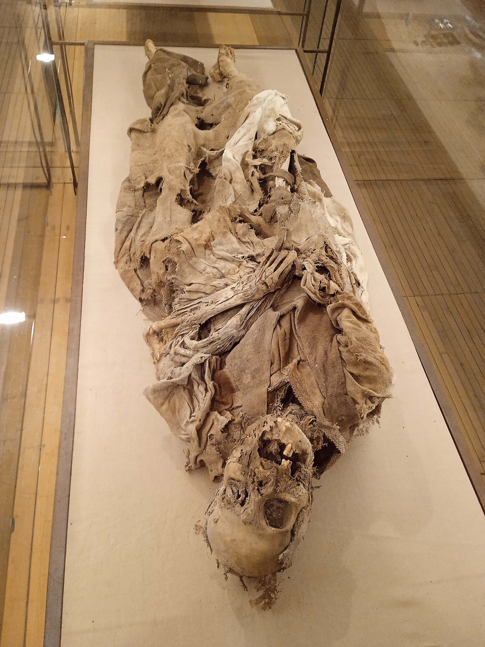 Crypt Museum in Monsampolo - Monsampolo del Tronto | Secret World Trip Planner