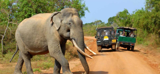 Wilpattu-Nationalpark | Secret World Trip Planner