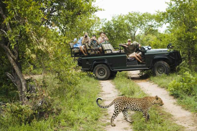 Wilpattu-Nationalpark | Secret World Trip Planner