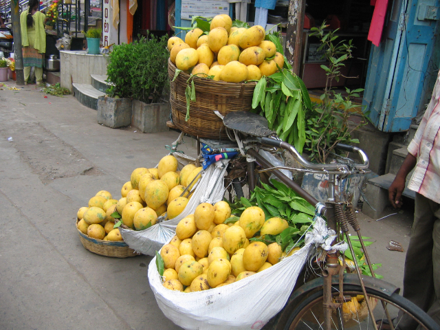 Banganapalli Mango — Banaganapalli