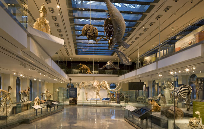 The Cleveland Museum of Natural History — Cleveland