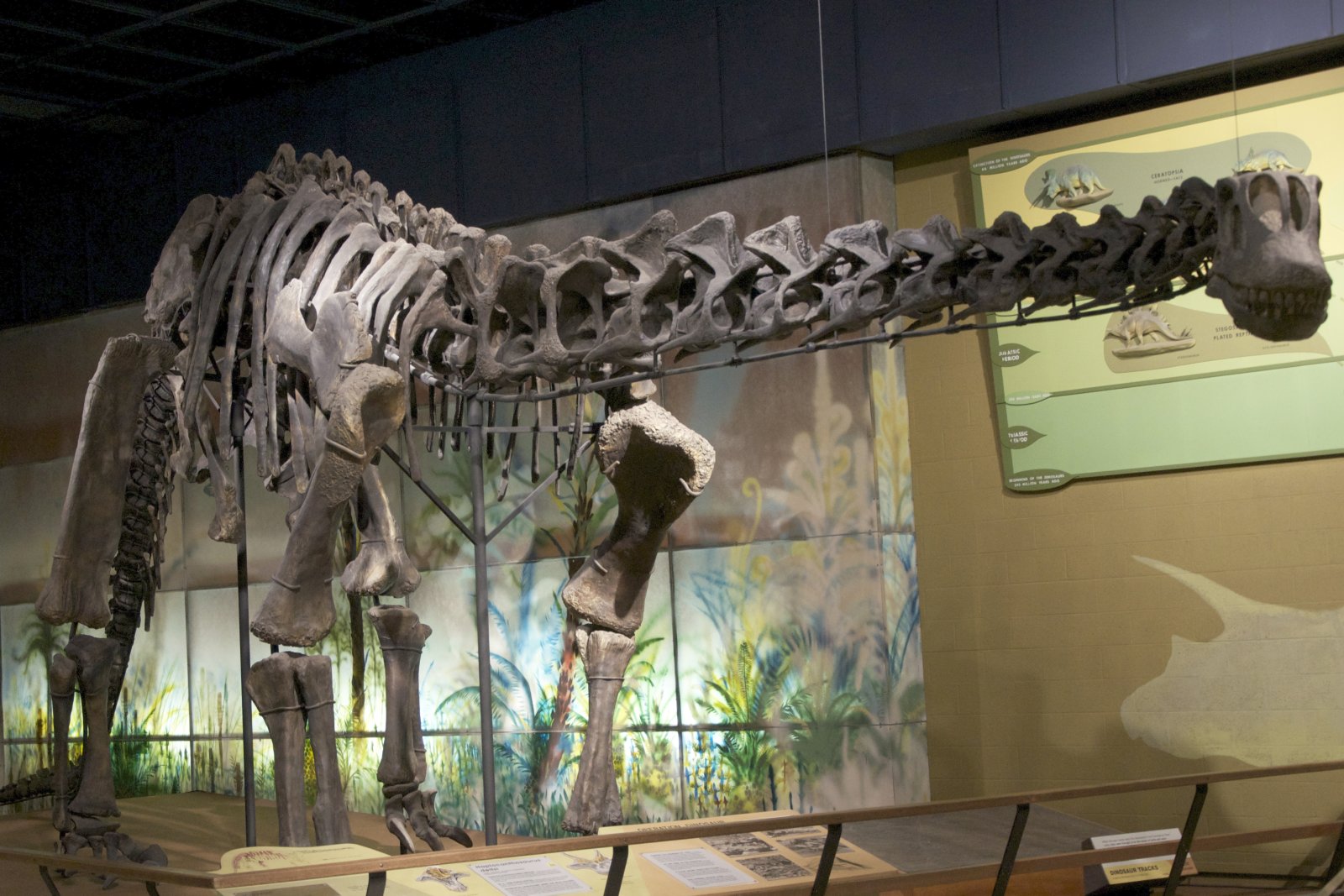 The Cleveland Museum of Natural History - Cleveland | Secret World Trip Planner