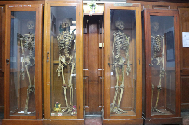 Medizinisches Museum Siriraj Bangkok, Thailand - Bangkok | Secret World Trip Planner