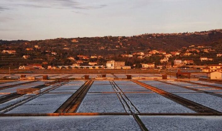Istria: Sečovlje Salinas — Saline di Sicciole
