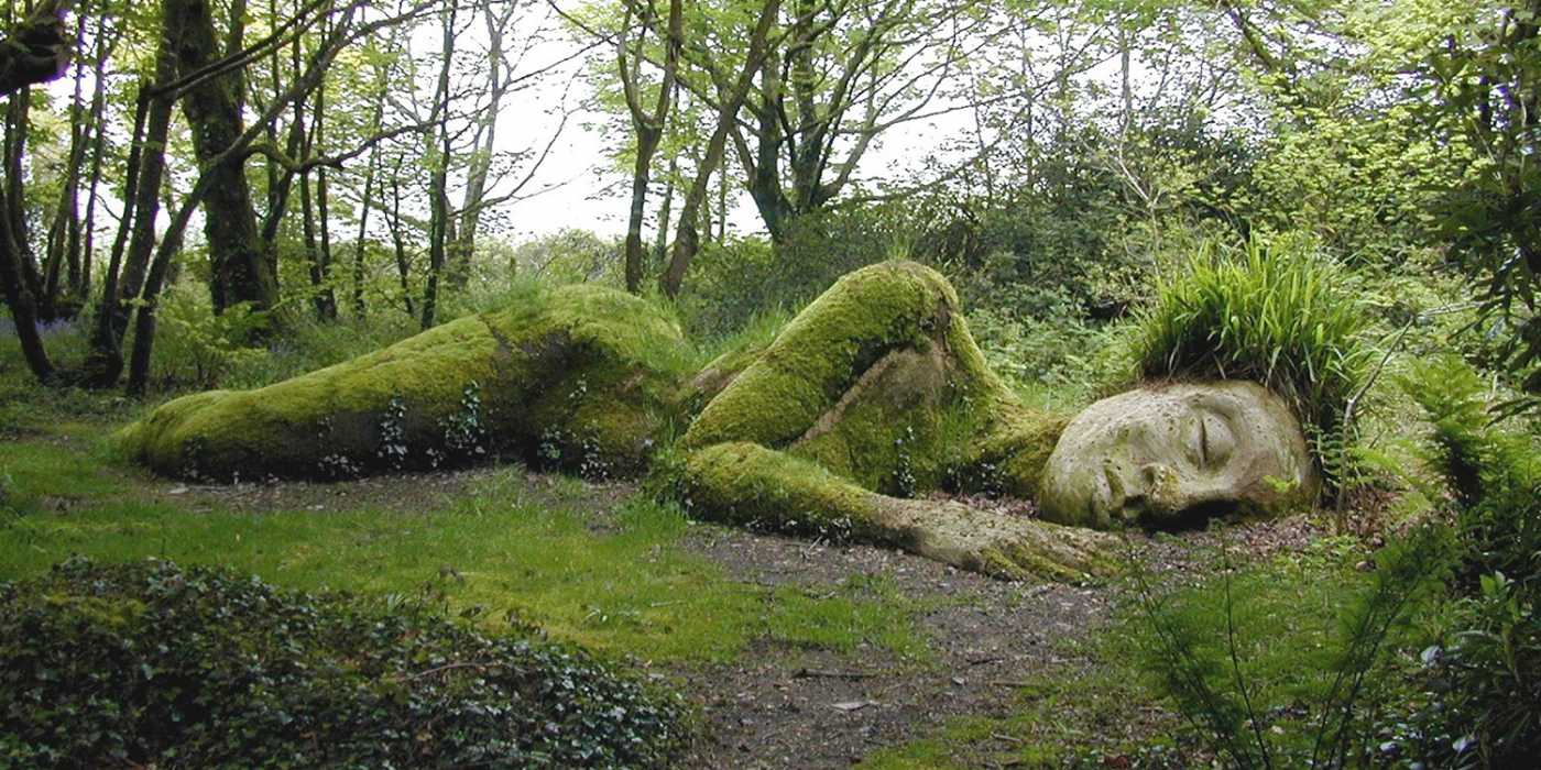 Dornröschen existiert wirklich.... — Pentewan