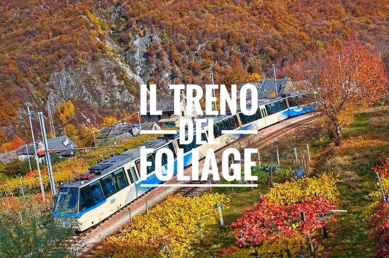 Foliage with the Centovalli Railway - Domodossola | Secret World Trip Planner