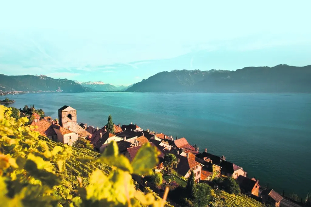 Lavaux, die Weinberge des UNESCO-Welterbes in der Schweiz. — Distretto di Lavaux-Oron