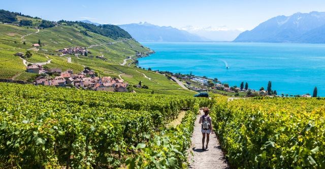 Lavaux, die Weinberge des UNESCO-Welterbes in der Schweiz. - Distretto di Lavaux-Oron | Secret World Trip Planner