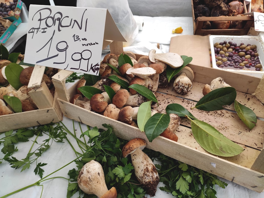 Soups with mushrooms - Civitella del Tronto | Secret World Trip Planner
