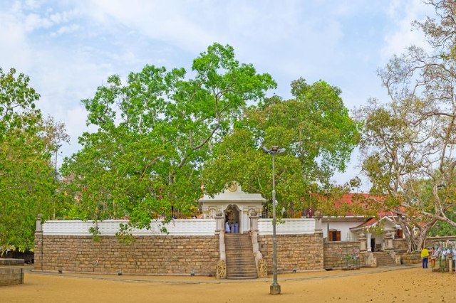 Jaya Sri Maha Bodhi — Distretto di Anuradhapura