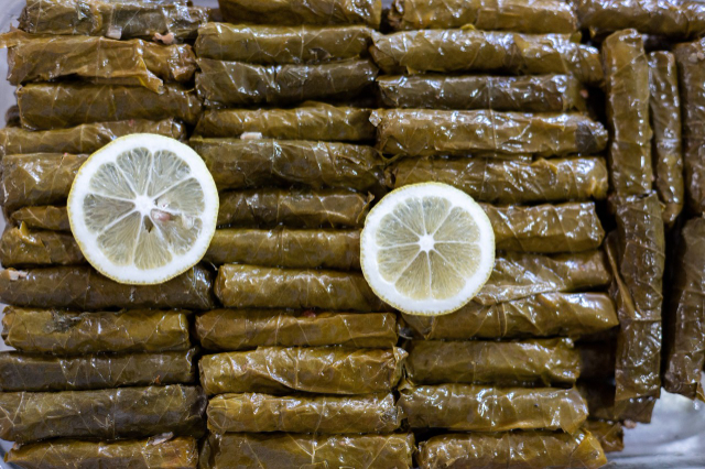 Dolma — Bodrum
