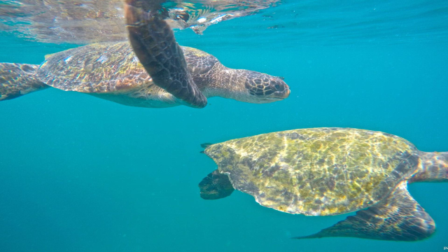 Machalilla-Nationalpark - Puerto López | Secret World Trip Planner