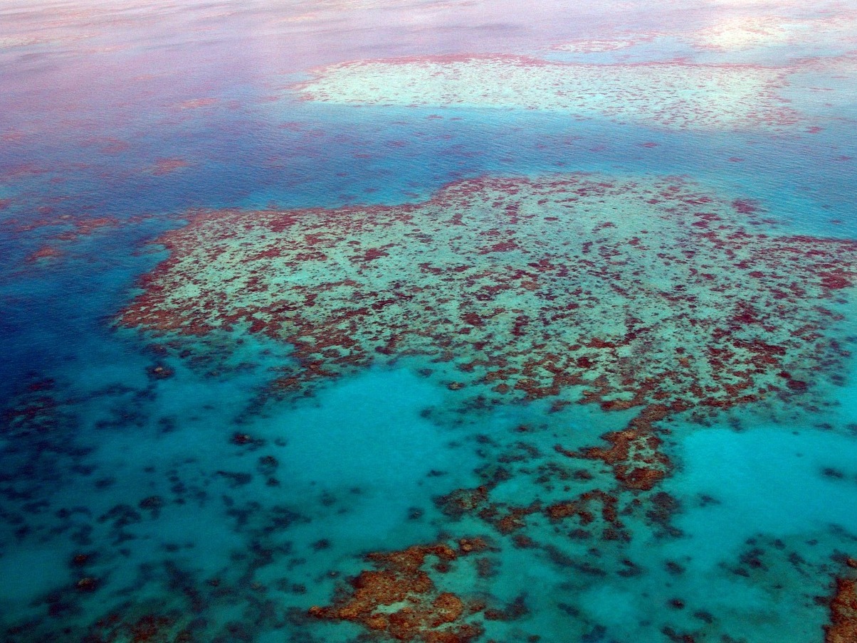 The Great Barrier Reef and the Whitehaven Beach - Whitsundays | Secret World Trip Planner