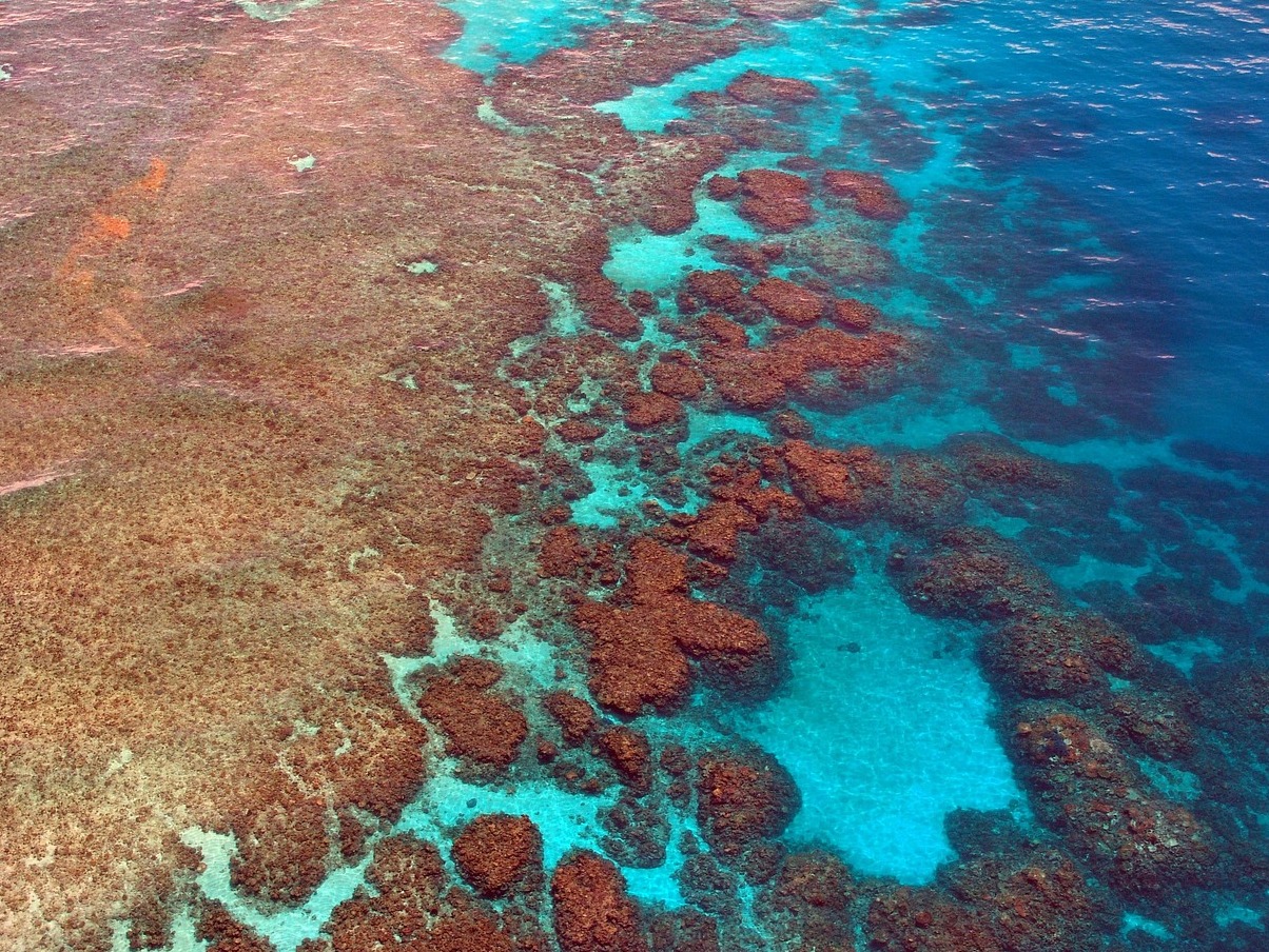 The Great Barrier Reef and the Whitehaven Beach - Whitsundays | Secret World Trip Planner