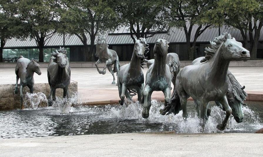 Die phänomenalen Mustangs von Las Colinas von Glens — Irving