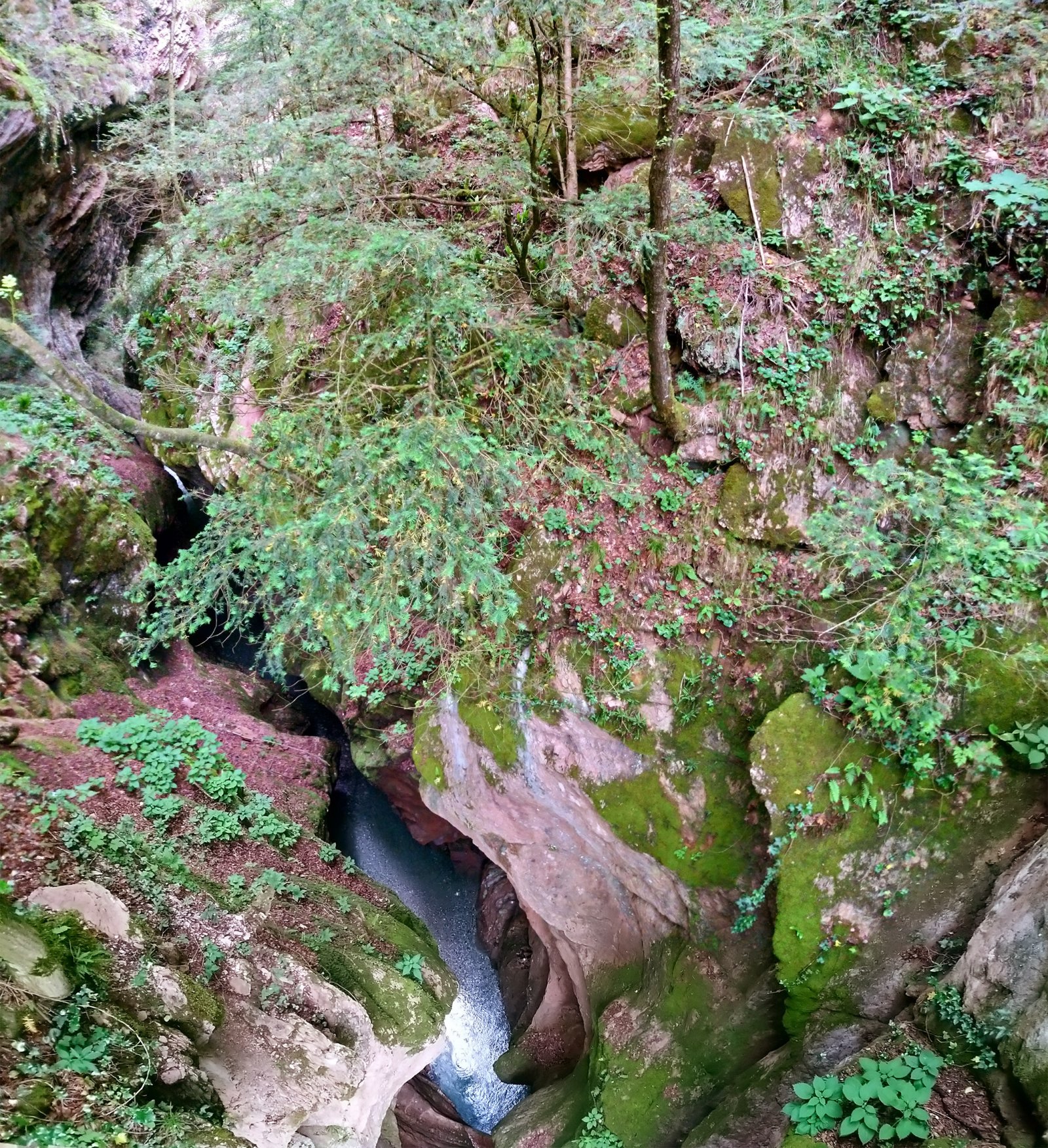 Canyons of the Ardo river - Belluno | Secret World Trip Planner