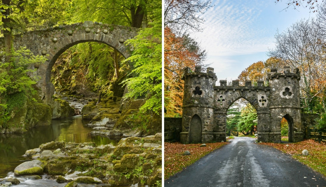 Tollymore Waldpark — Bryansford Rd
