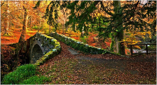 Tollymore Waldpark - Bryansford Rd | Secret World Trip Planner