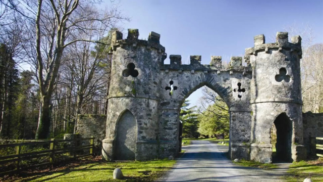 Tollymore Waldpark - Bryansford Rd | Secret World Trip Planner