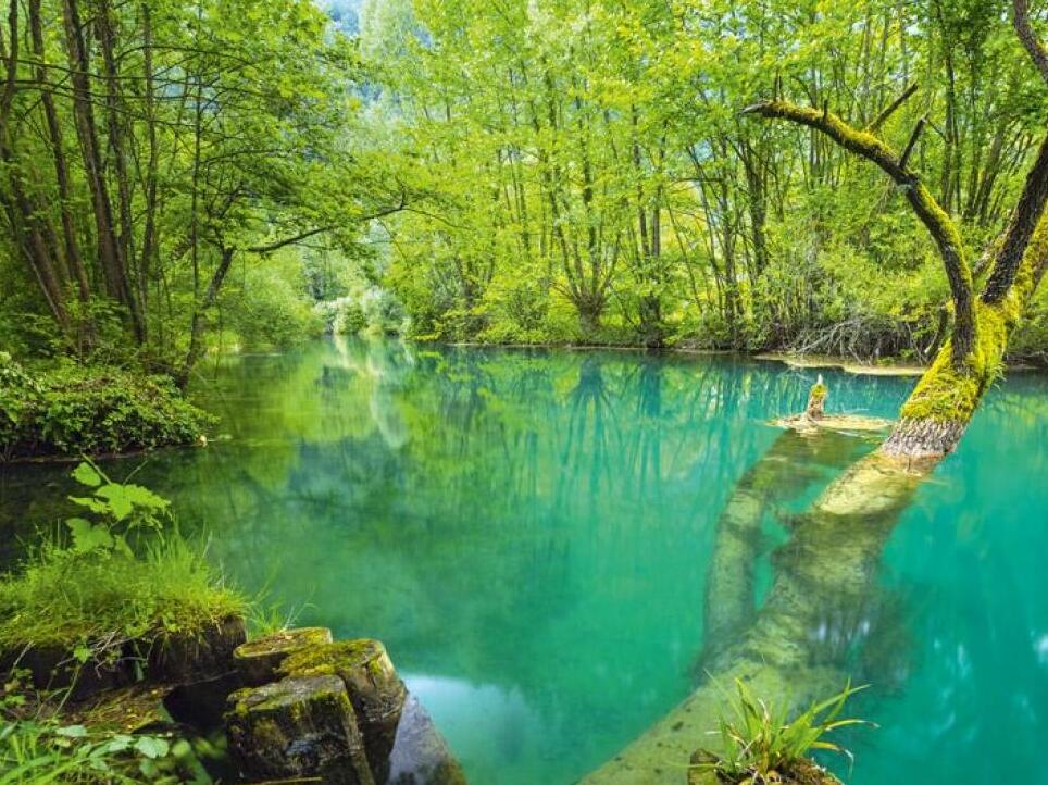 Palù del Livenza - Humus Park - 34 | Secret World Trip Planner