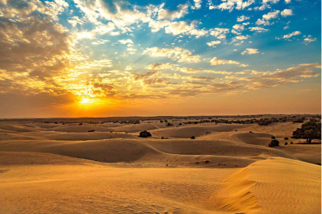 The Cholistan Desert, — Cholistan Desert