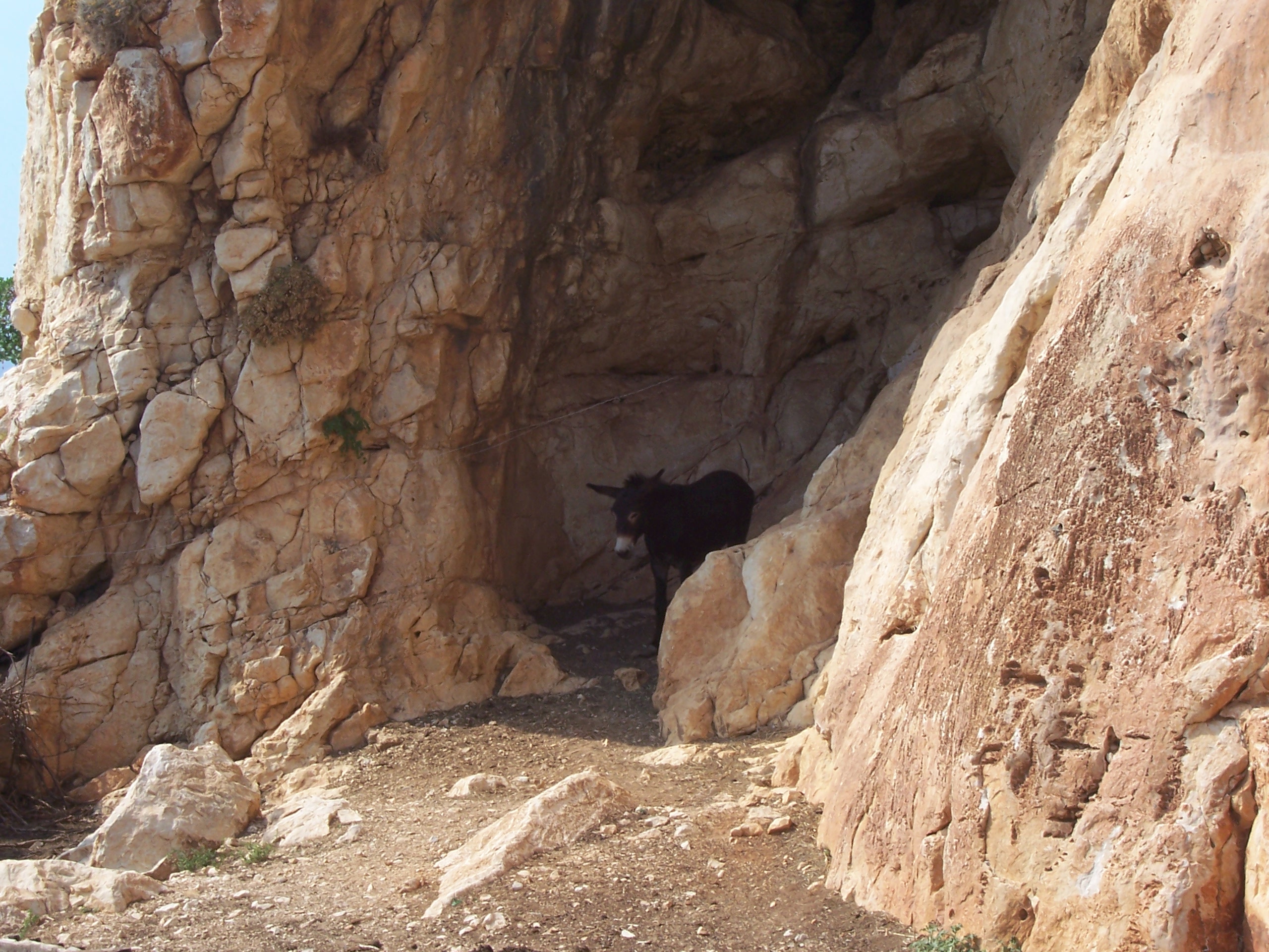 A very nice trekking in the Reserve of Mount Cofano - Custonaci | Secret World Trip Planner