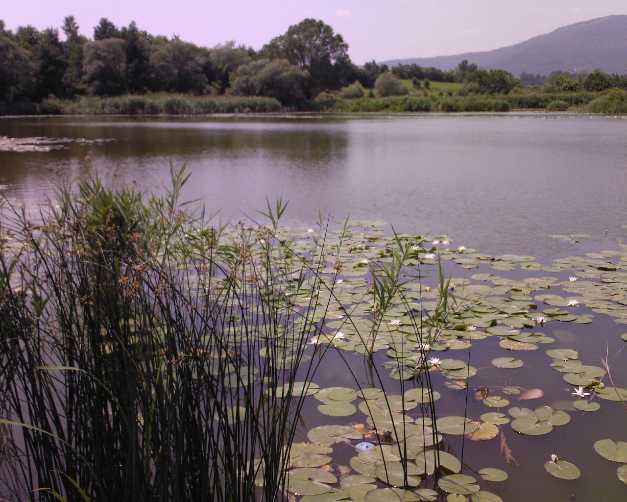 Sebino-Torfmoore - Iseo | Secret World Trip Planner