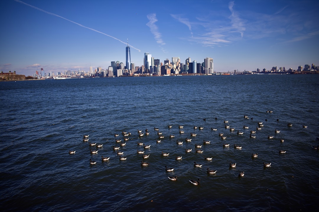 Das Erntedankfest und der Famus Truthahn - New York | Secret World Trip Planner