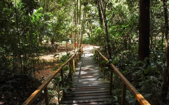 Municipal Park of Maceio - Maceió - AL | Secret World Trip Planner
