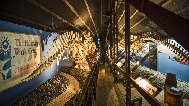 Walmuseum — Húsavík