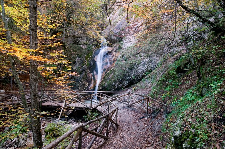 Cagar alam Camosciara - Pescasseroli | Secret World Trip Planner
