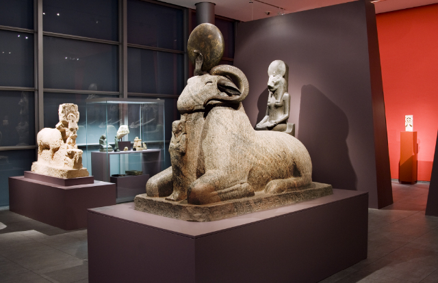 Roemer- und Pelizaeus-Museum - Hildesheim | Secret World Trip Planner