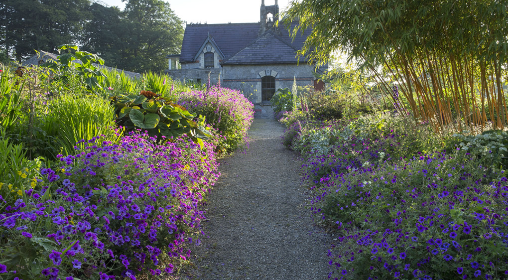 June Blake's home — Blessington