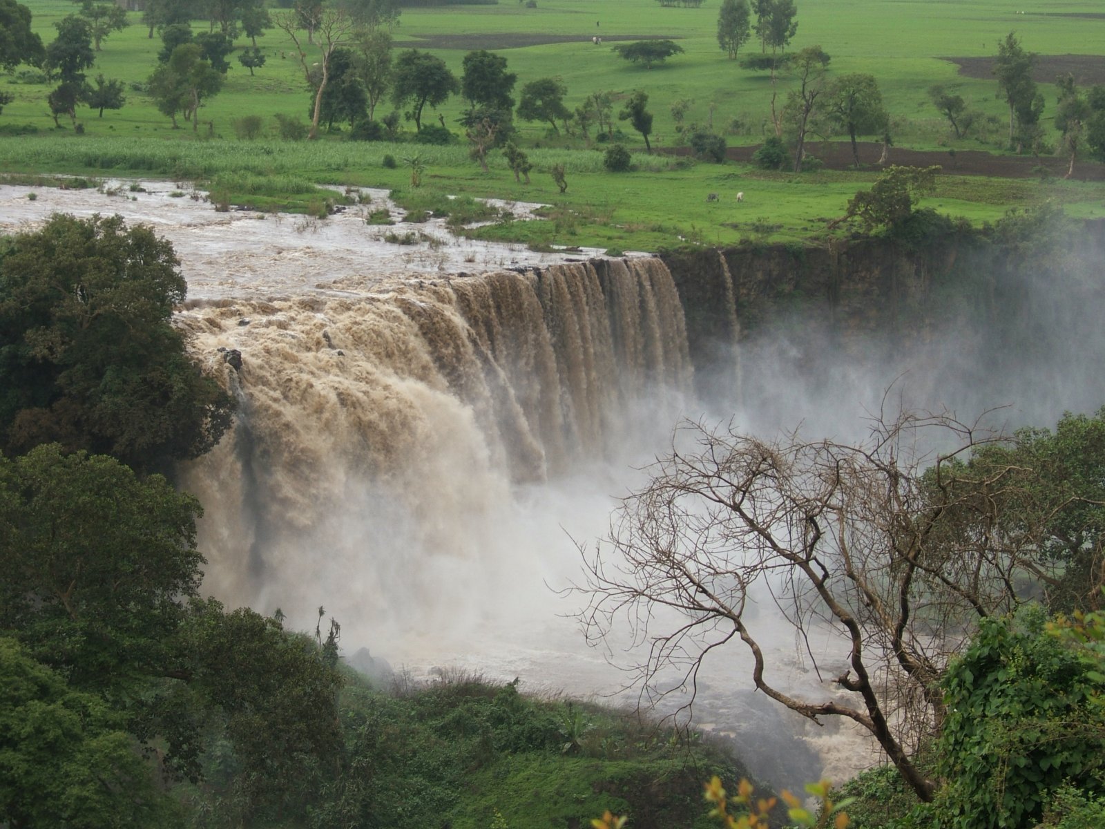 Wasserfälle am Blauen Nil: ein Wasserfall am Blauen Nil - Cascate del Nilo Azzurro | Secret World Trip Planner