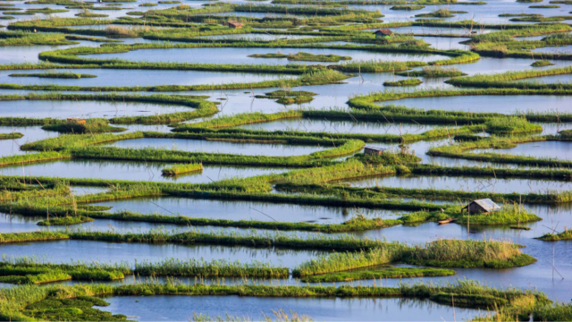 Die schwimmenden Inseln des Loktak-Sees — Loktak Lake