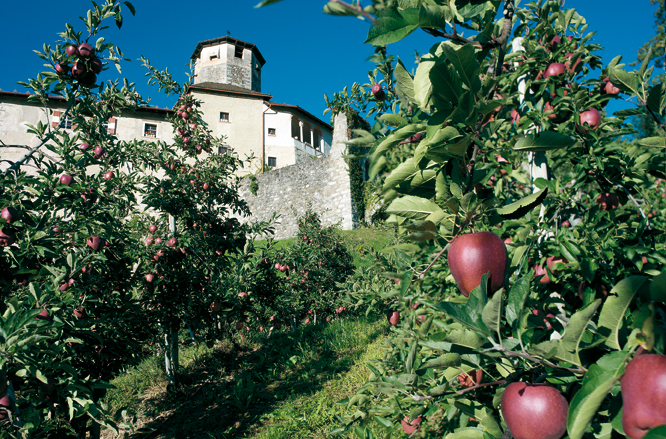 The apple orchards of Val di Non - Val di Non | Secret World Trip Planner