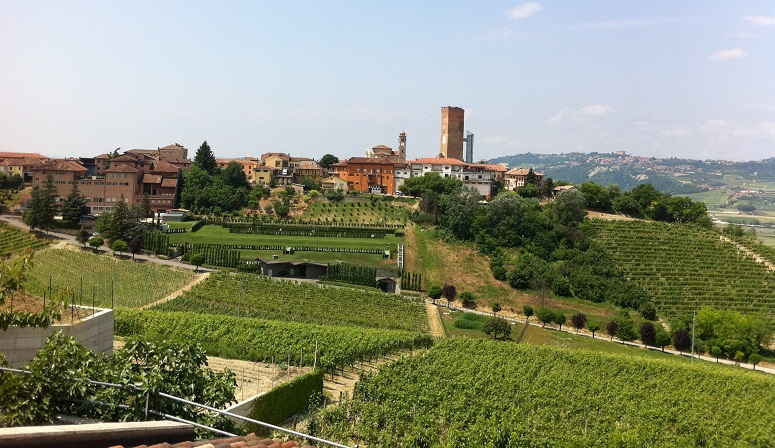 Top Wines od The World: Barbaresco - Barbaresco | Secret World Trip Planner