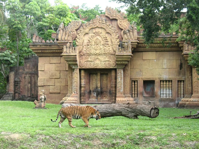Zoologischer Park von Miami-Dade - Miami | Secret World Trip Planner