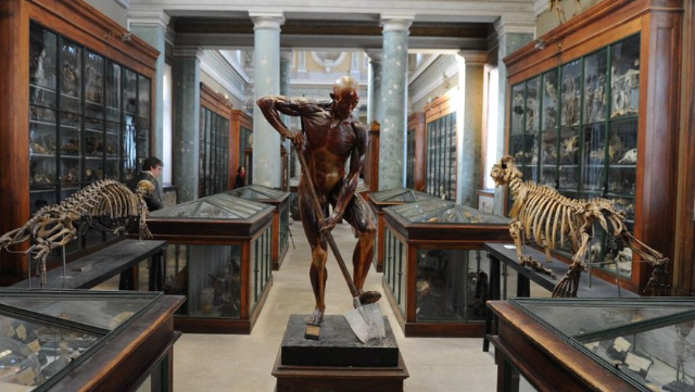 Anatomiemuseum von Montpellier - Montpellier | Secret World Trip Planner