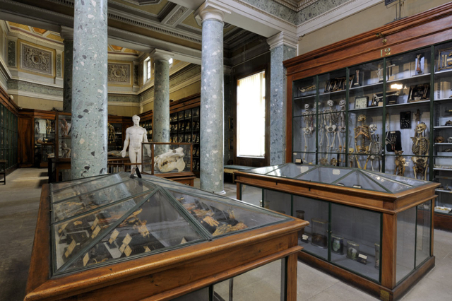 Anatomiemuseum von Montpellier - Montpellier | Secret World Trip Planner