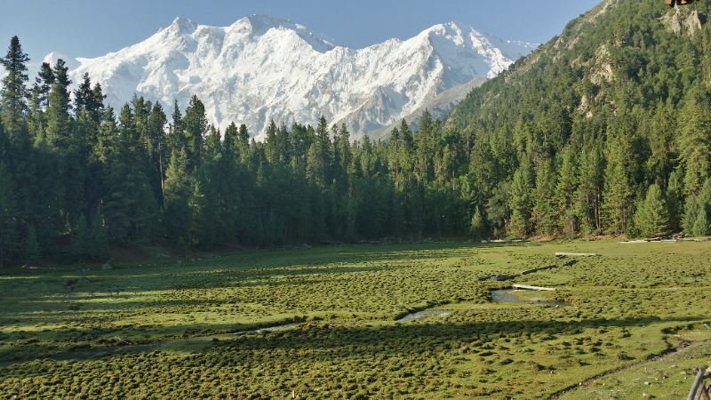 Fairy Meadows-Nationalpark, Pakistan - Fairy Meadows | Secret World Trip Planner