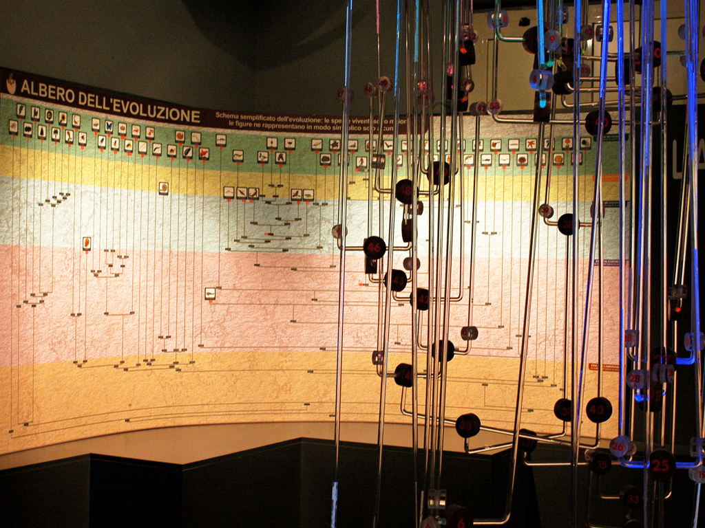 Hifadhi ya Geo-palaeontological ya Paleolab - Pietraroja | Secret World Trip Planner