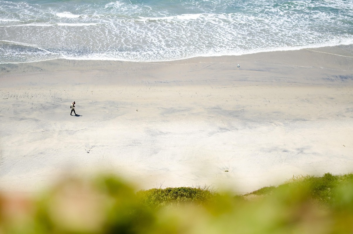 San Diego and the 2,300-hectare park on its east side - San Diego | Secret World Trip Planner