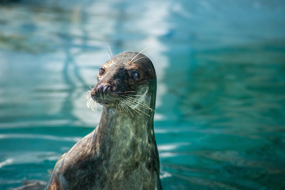 The Cleveland Metroparks Zoo - Cleveland | Secret World Trip Planner